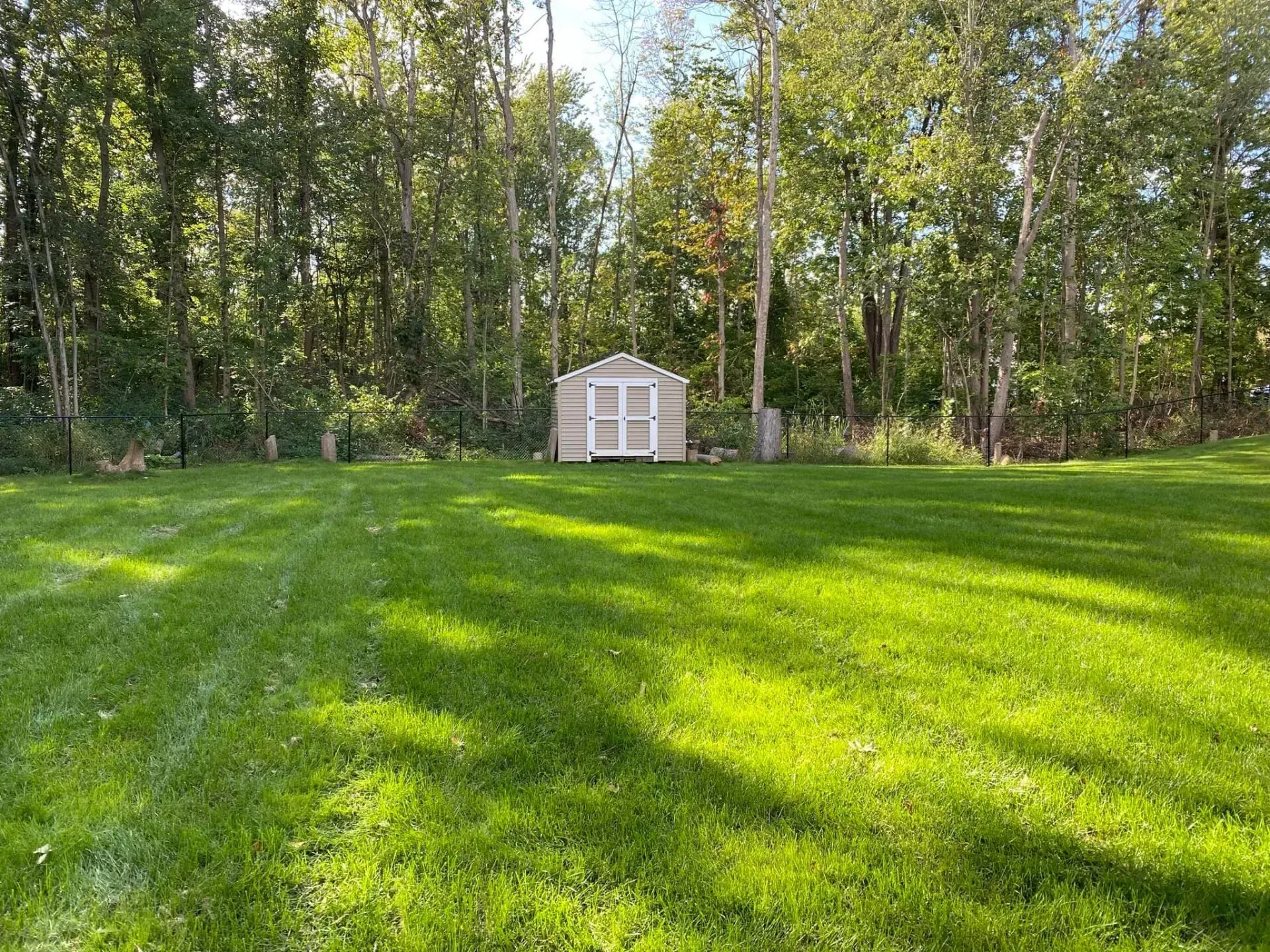 A shed is sitting in the middle of a lush green field surrounded by trees.