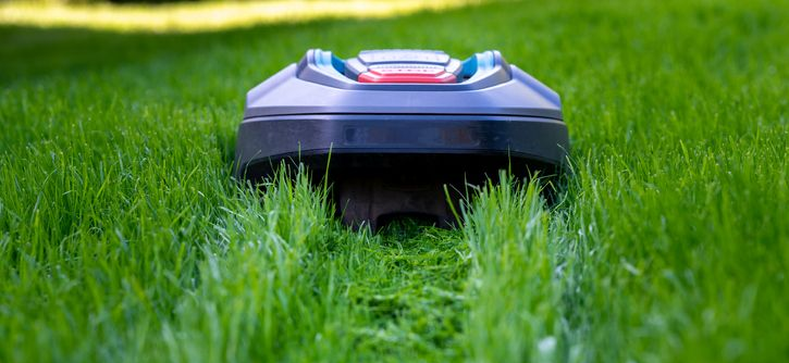 Robot mower cutting high grass