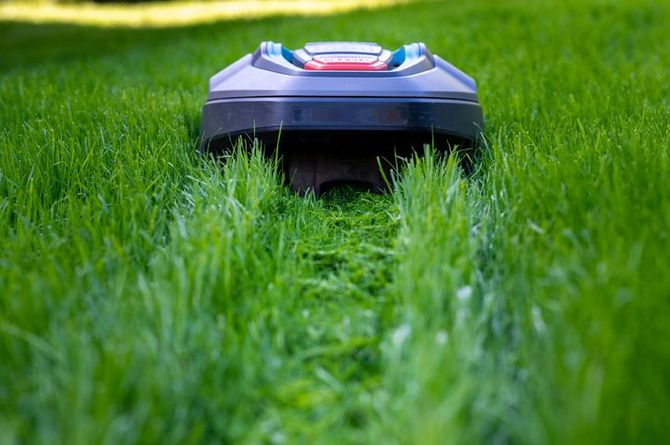Robot mower cutting high grass