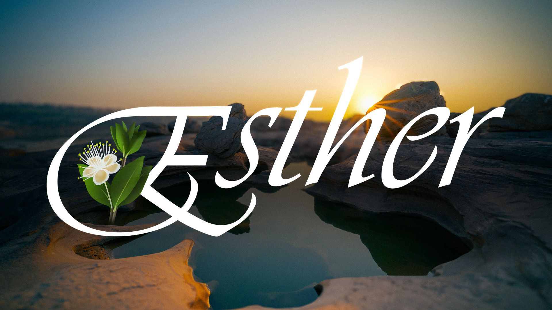 Esther | God’s Providence and Protection