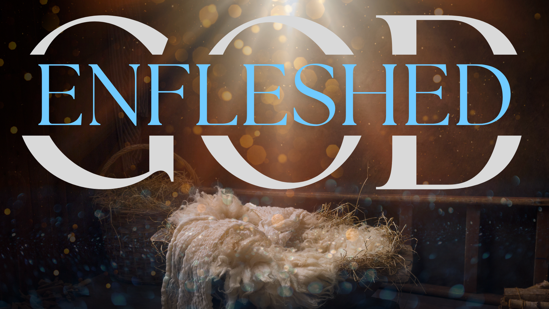 God Enfleshed | The incarnation of God the Son
