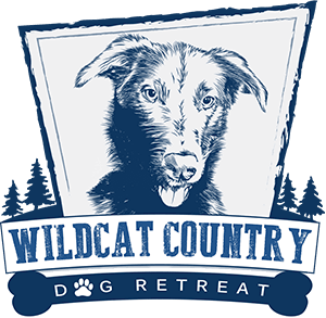 Wildcat Country Dog Retreat