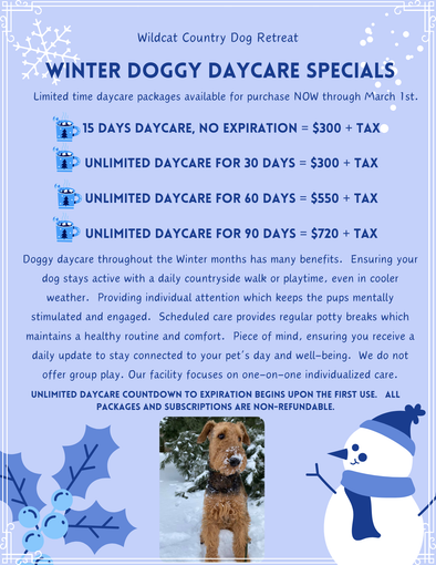 Town and country outlet doggy daycare