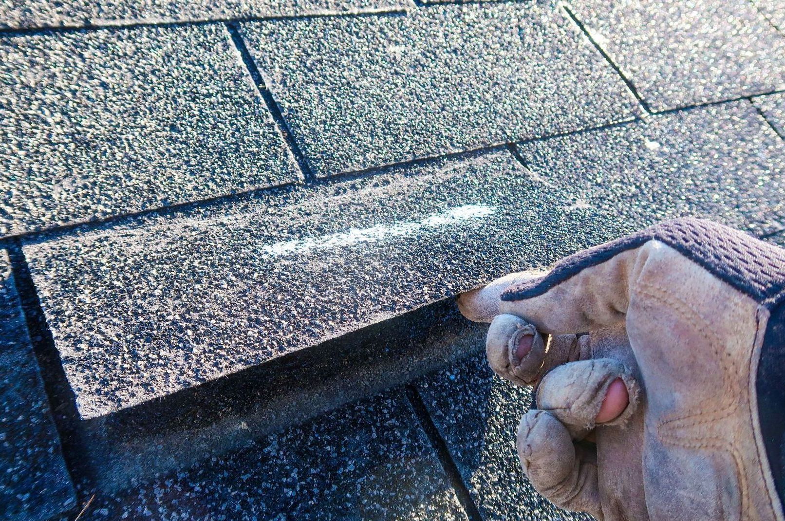 asphalt shingle with storm damage