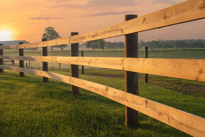 Wooden fence in a green field at sunrise, casting long shadows.