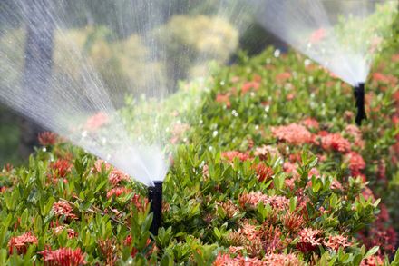 Landscaping Services — Sprinkler Installation in Fresno, Ca