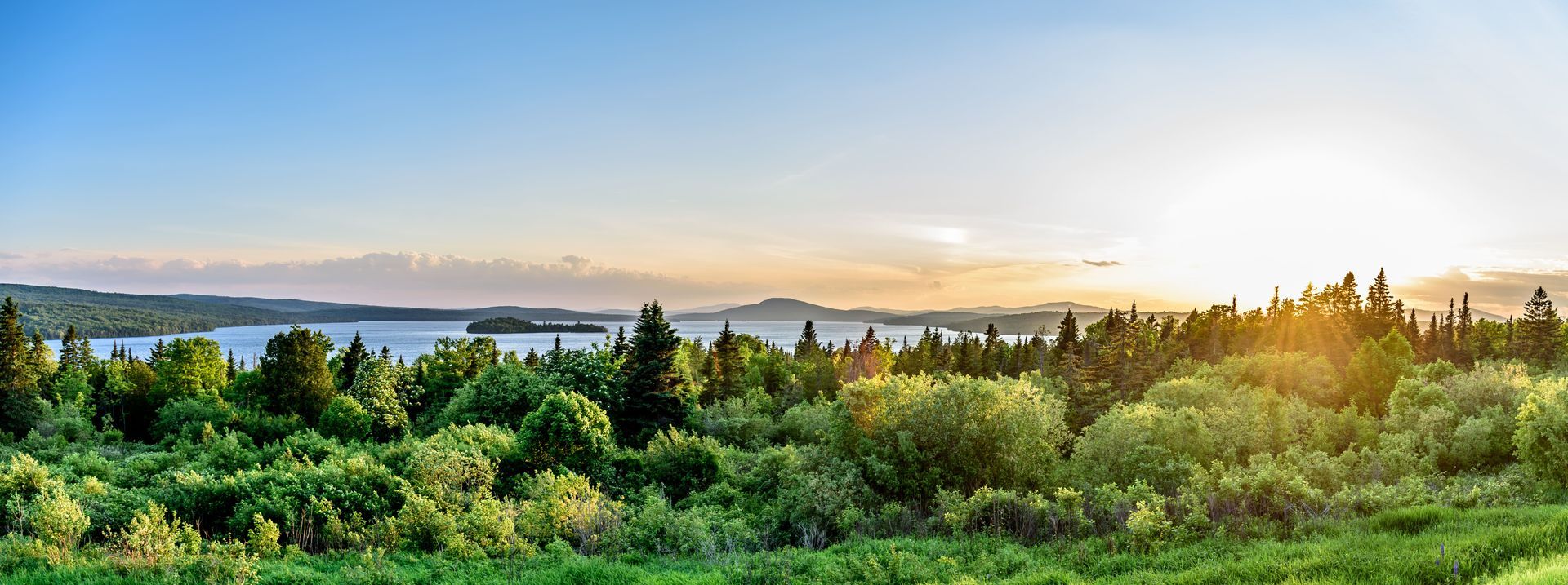 Landscape of a lake surrounded by green trees under a bright blue sky at sunset.