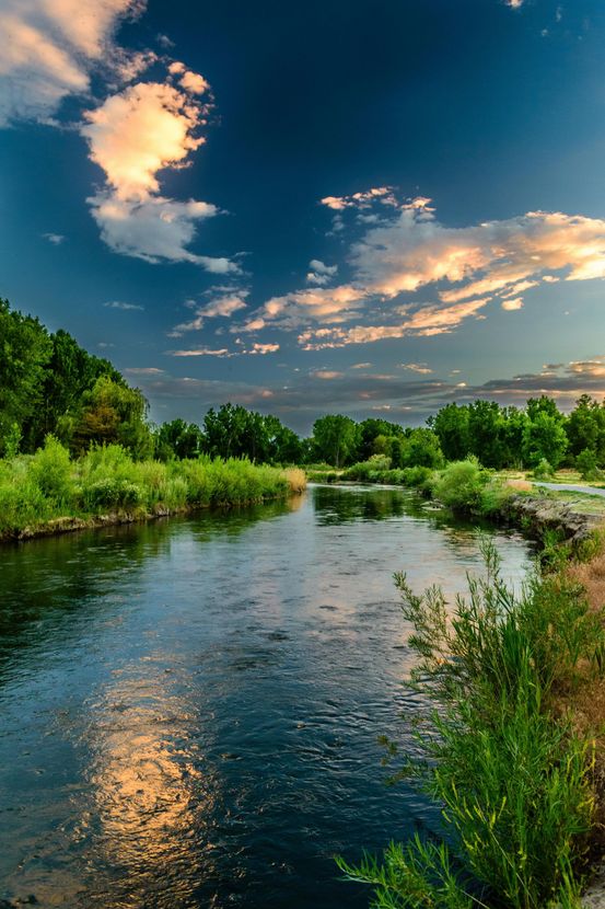 River flowing through green trees under a cloudy blue sky with golden light.