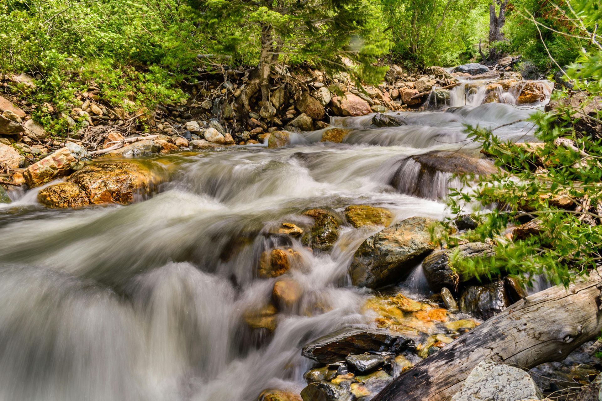 Rushing stream cascading over rocks in a forested area; water appears white and foamy.
