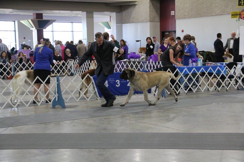 Kiokee's Catching Fire At Trinity