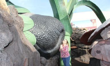 Dogs are a big deal here at Wahkeen!