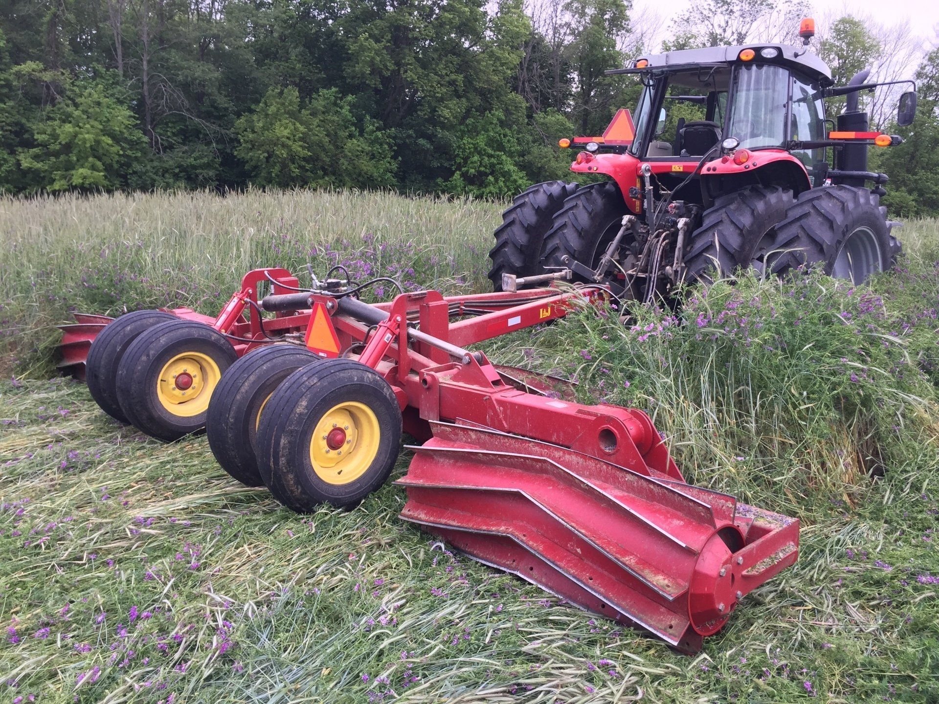Red tractor with mower attachment cutting through tall grass in a field.