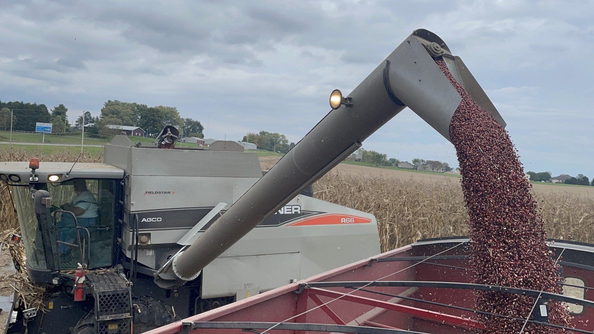 A combine harvesting corn, pouring kernels into a red truck bed in a field.