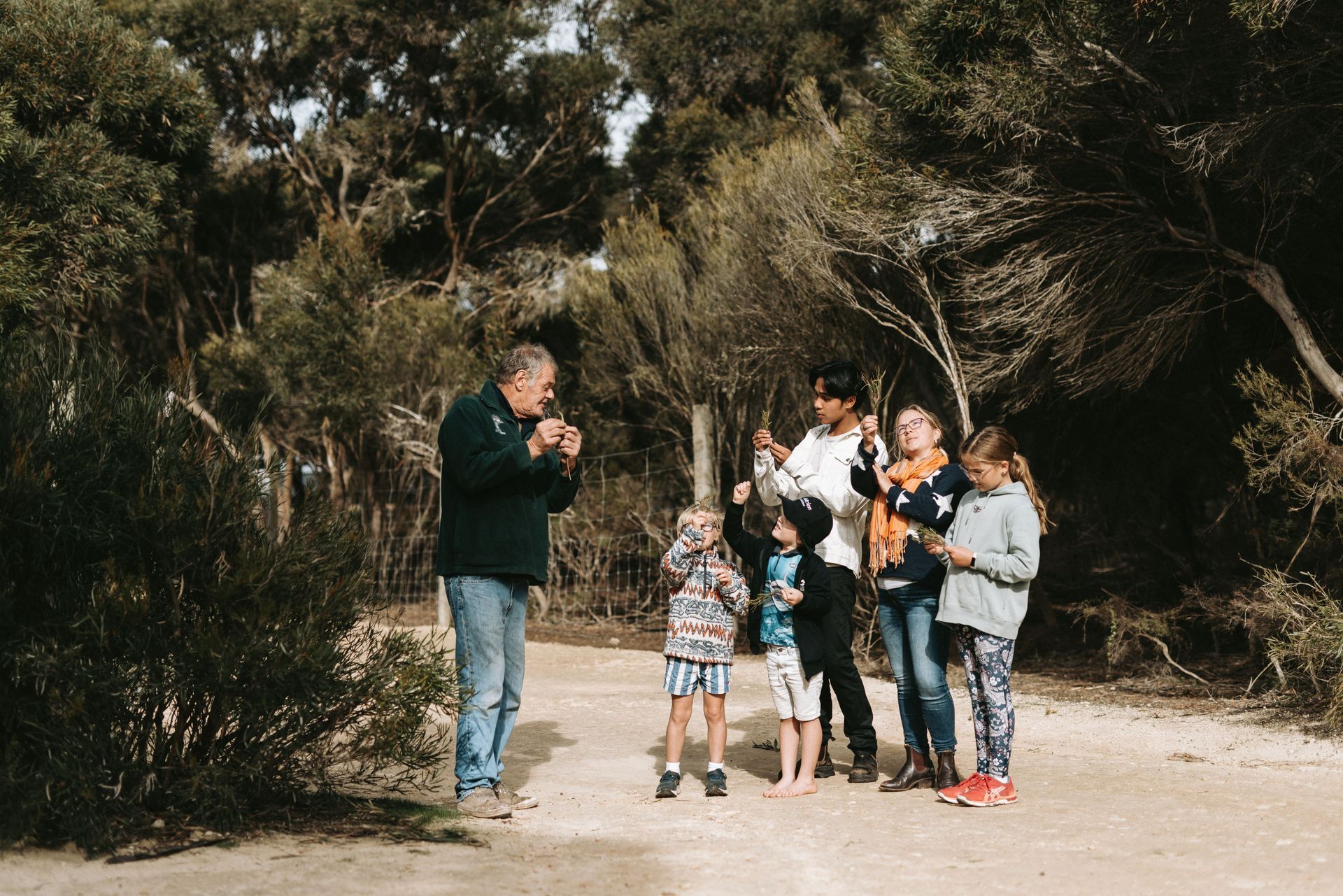 Group of people looking up, pointing, and observing something in the trees; sandy path in a wooded area.