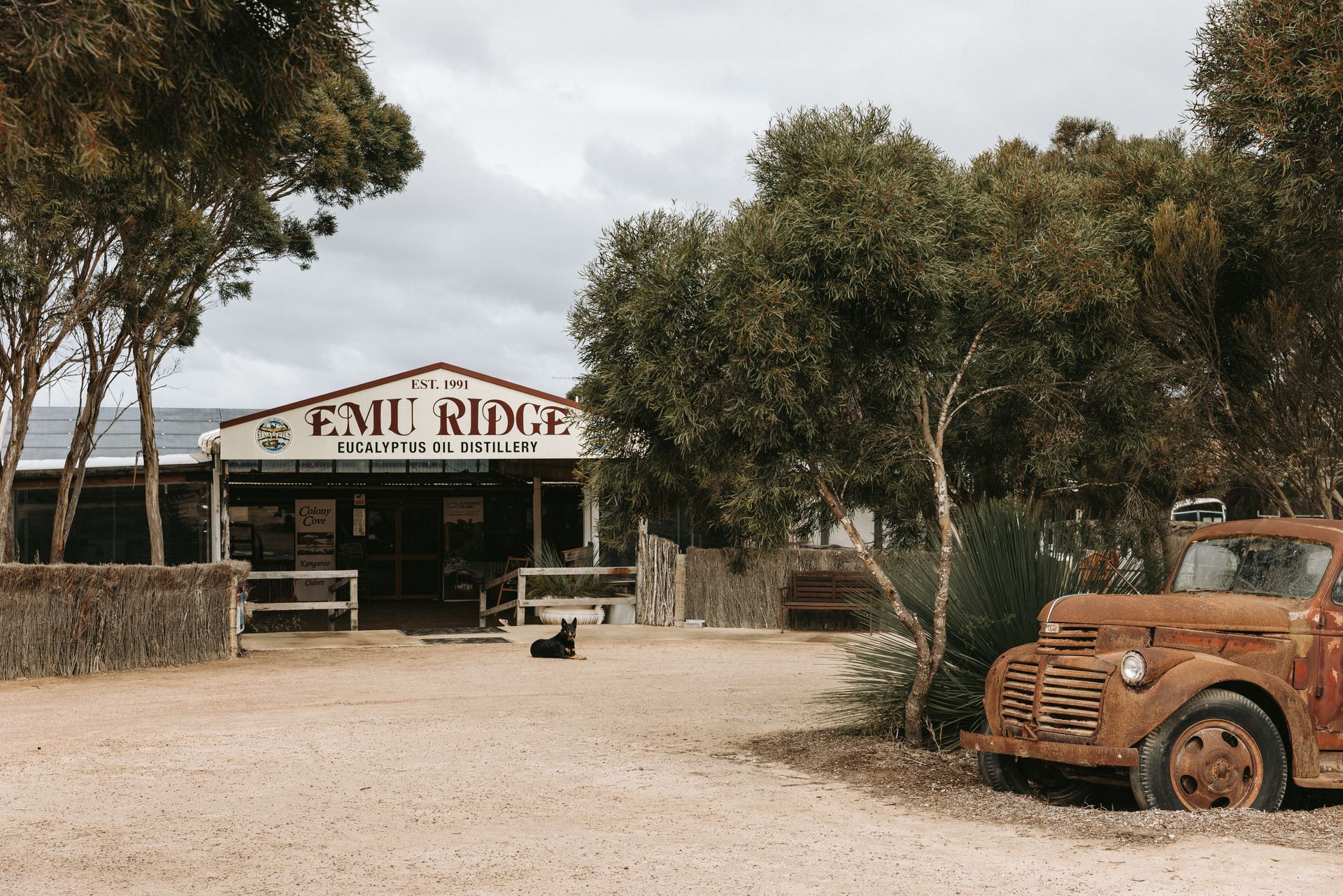 Emu Ridge property with a rusted truck, a small dog, and a cloudy sky.