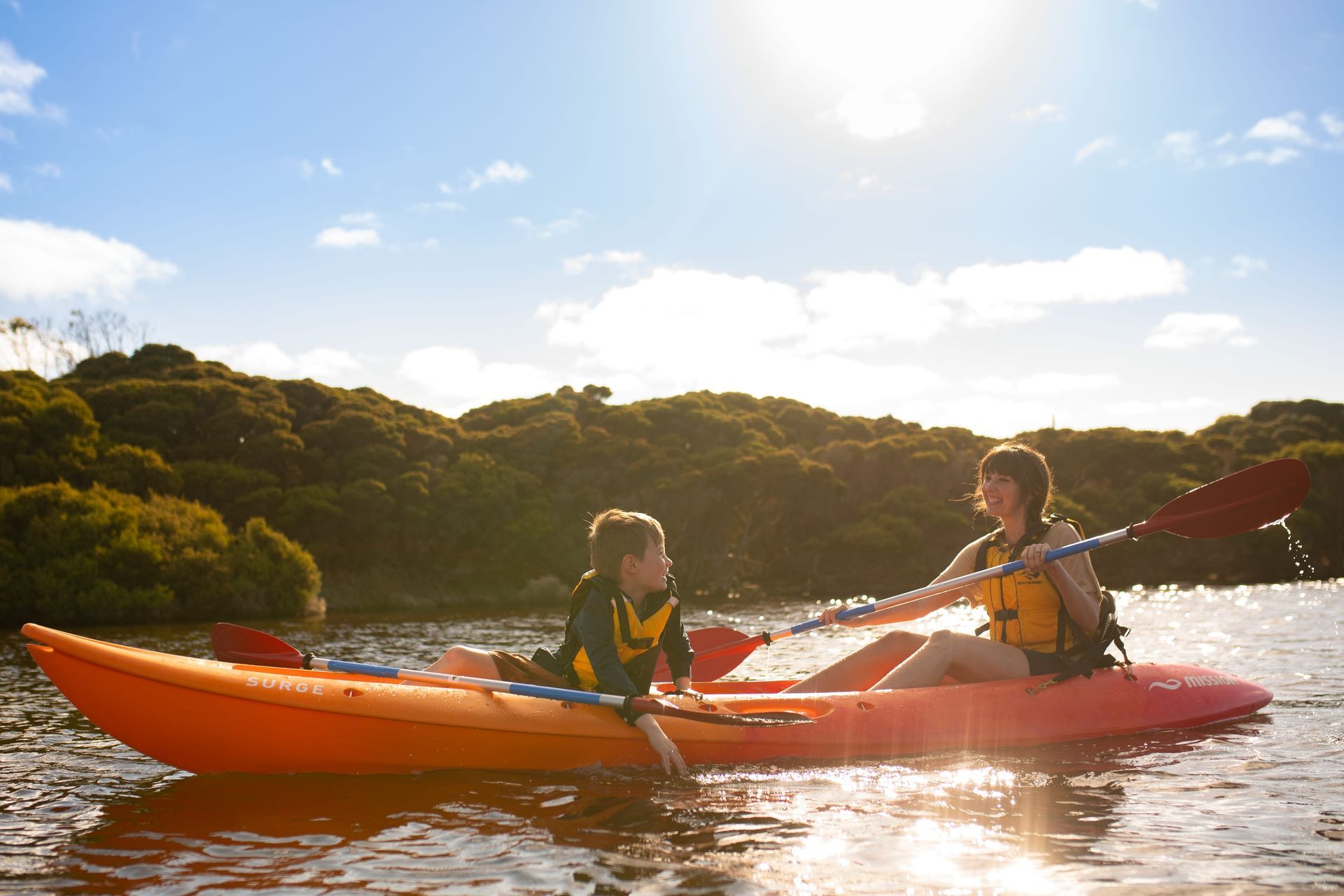 A koala bear is sitting on a tree branch