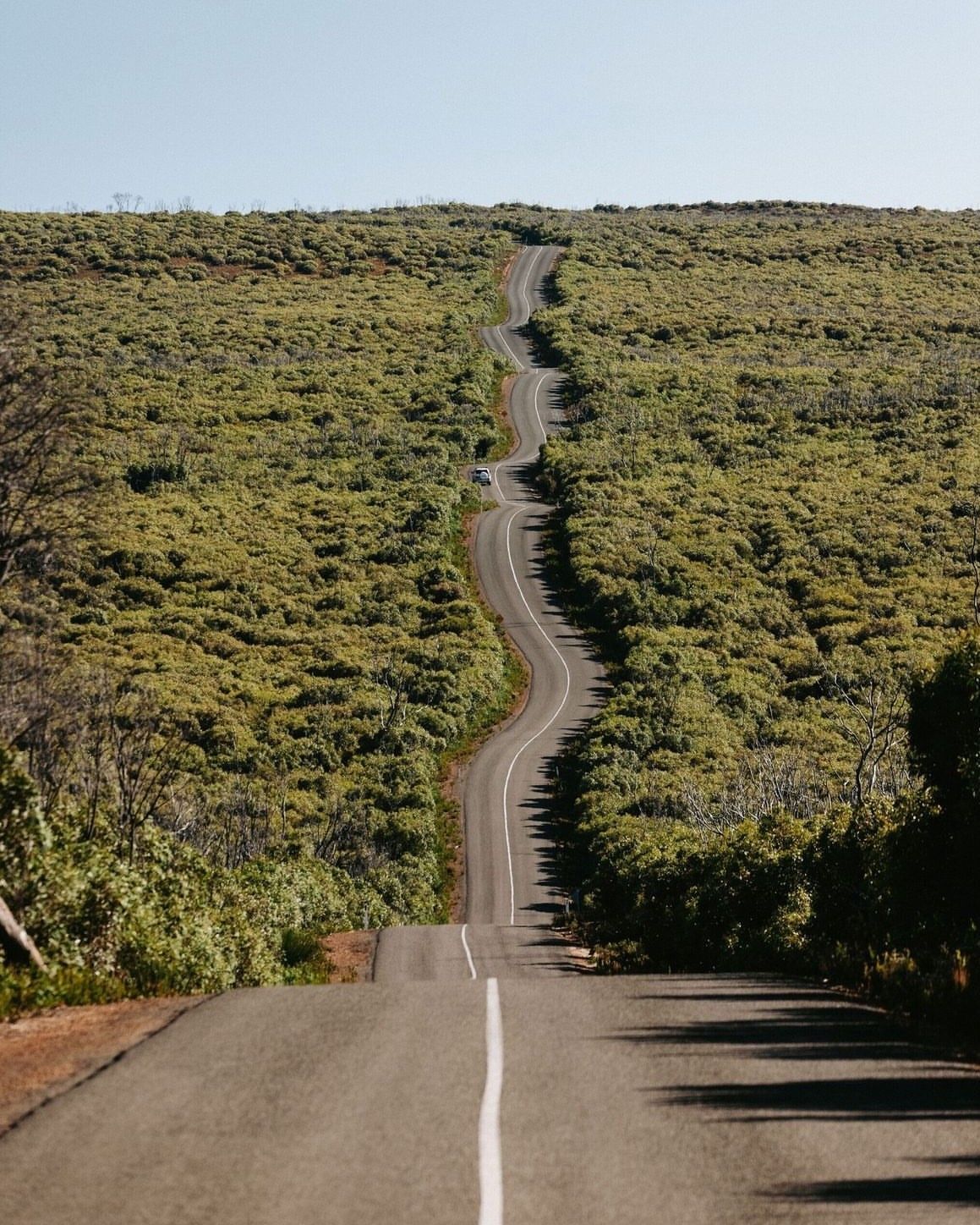 Winding road through green shrubbery, leading uphill under a clear sky.