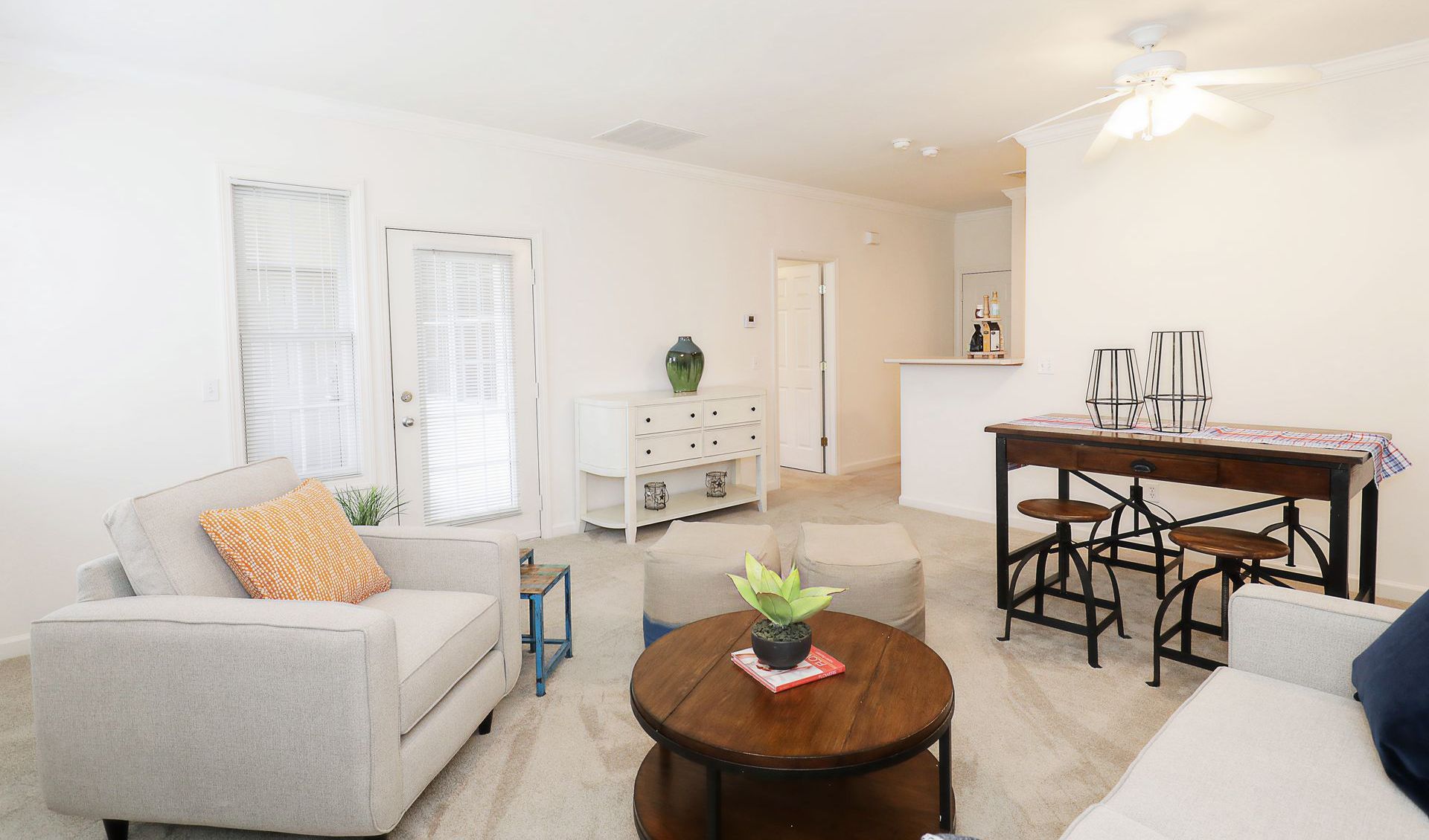 Interior photo of a modern bright living room