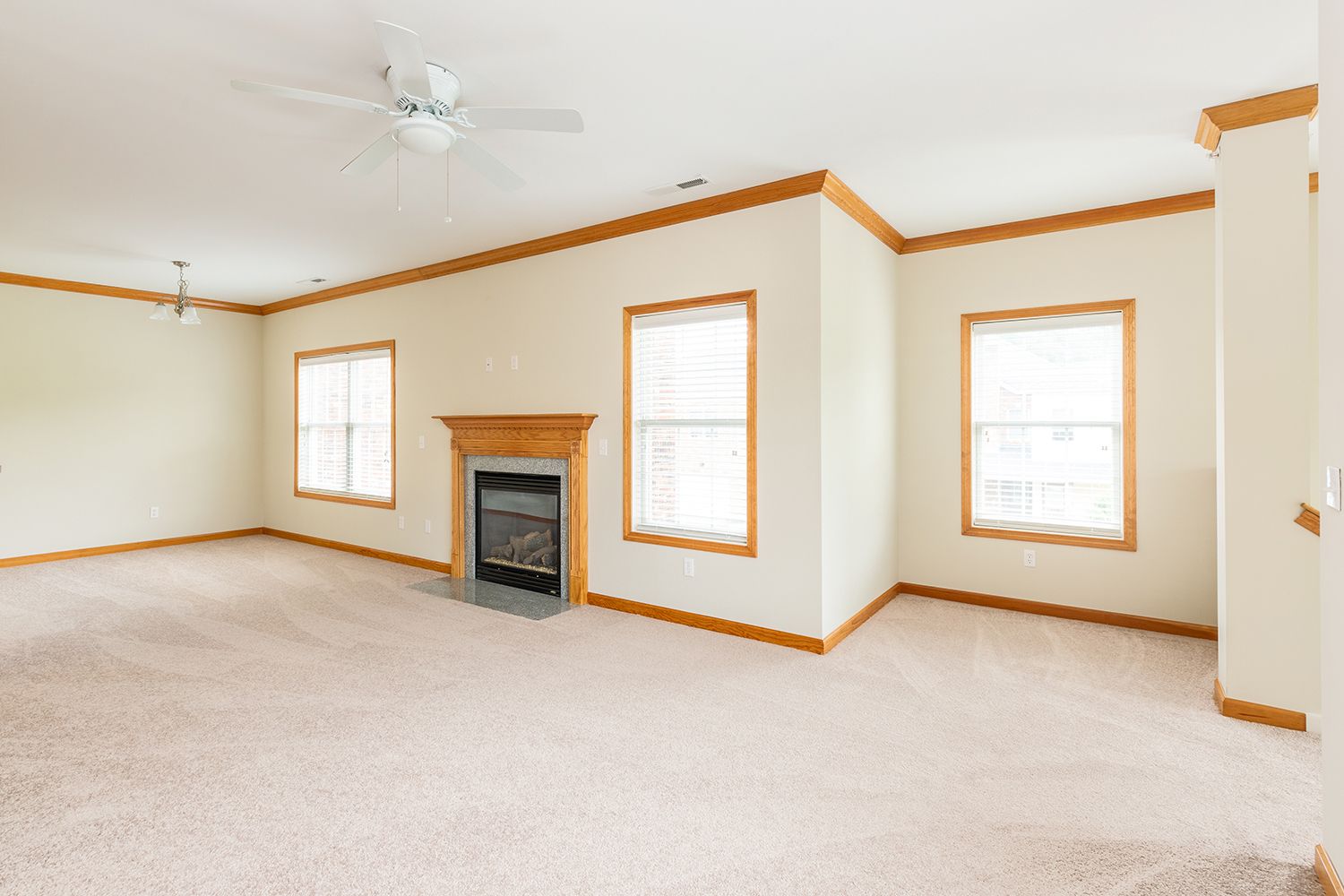 photo representing the Carlyle floor plan