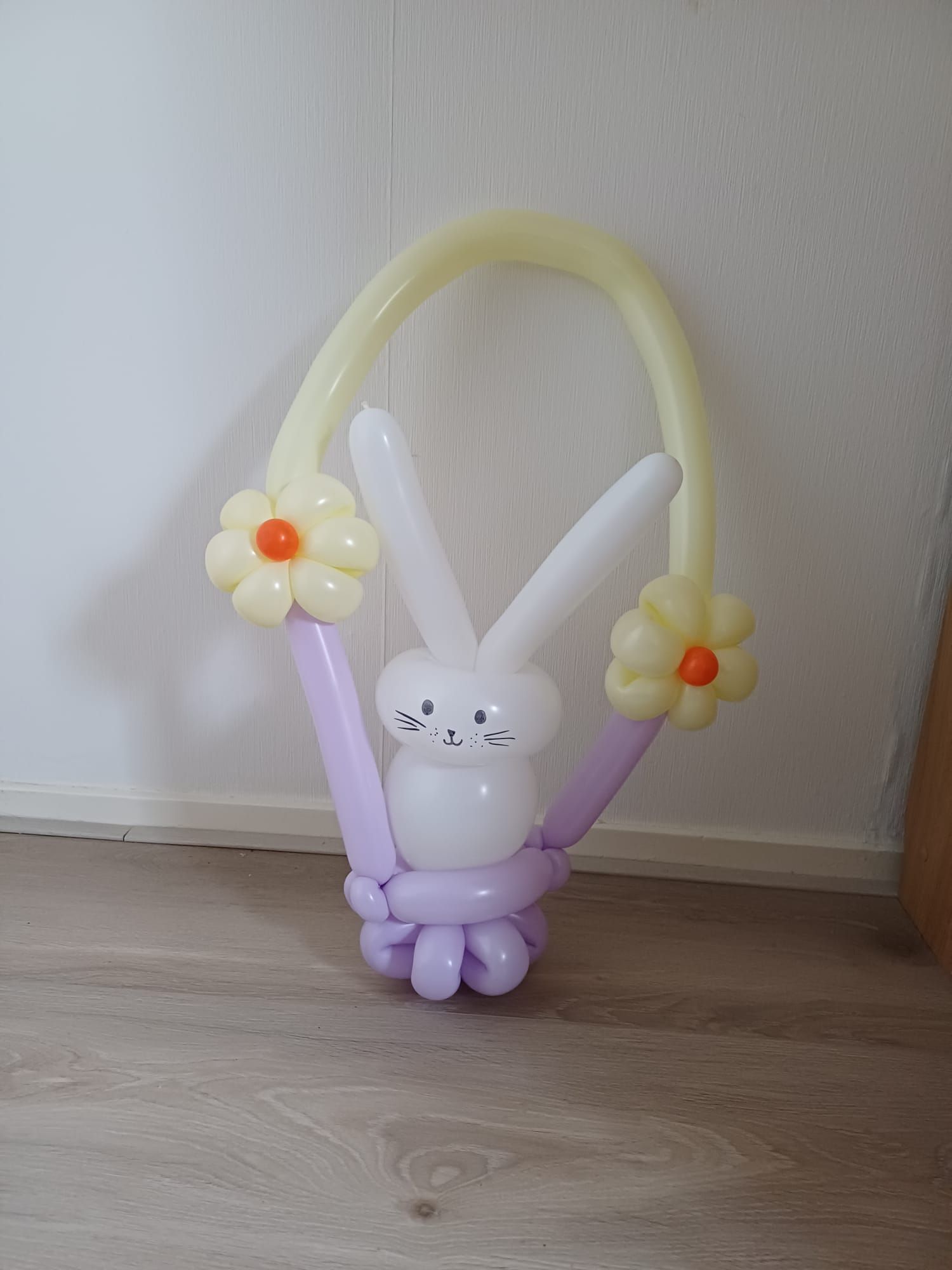 Ballonartiest Emmen, Assen, Borger, Musselkanaal, Stadskanaal, Eext, Exloo, Buinen, Hoogeveen, Leek, Roden