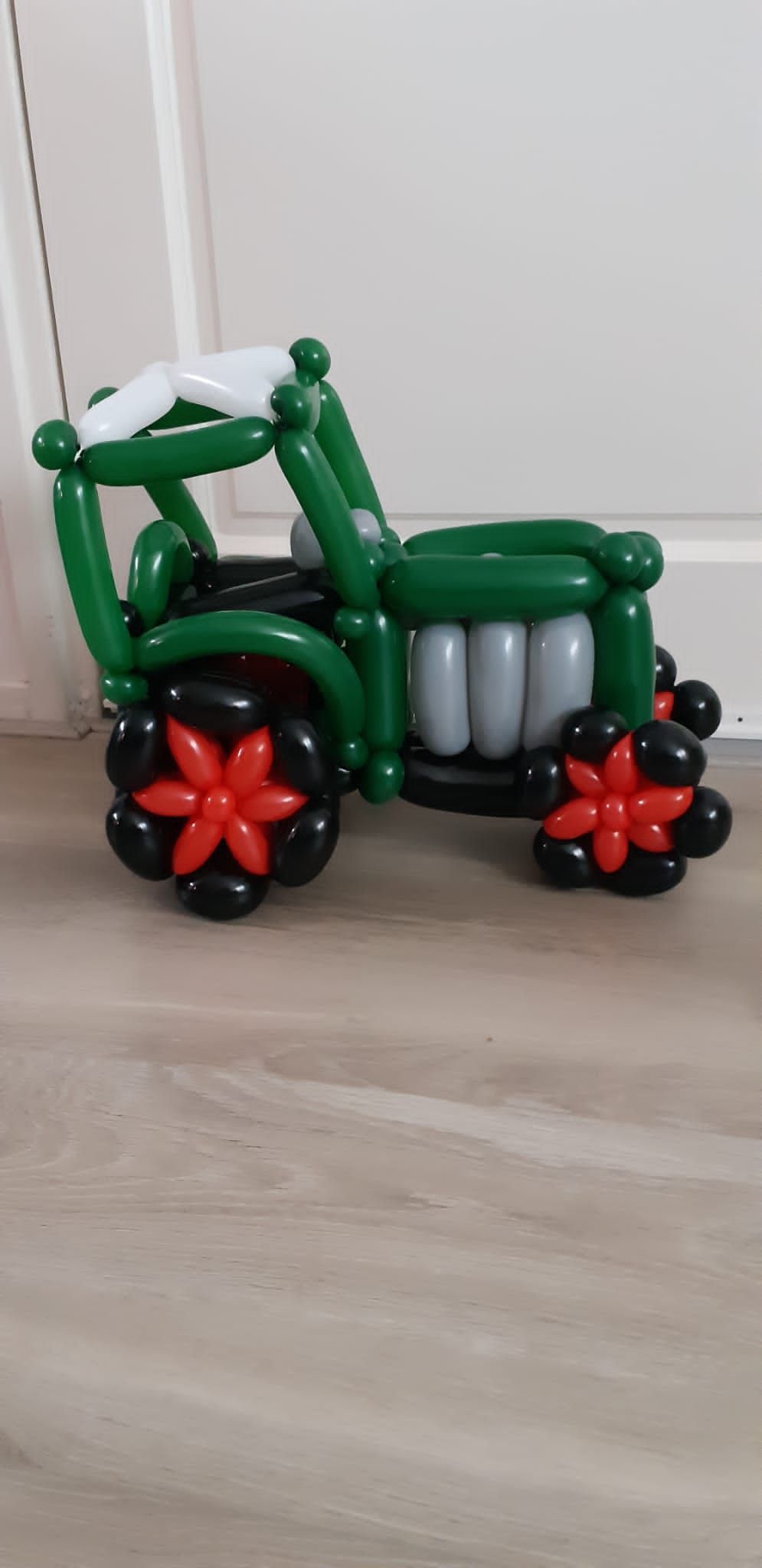 Ballonartiest Emmen, Assen, Borger, Musselkanaal, Stadskanaal, Eext, Exloo, Buinen, Hoogeveen, Leek, Roden