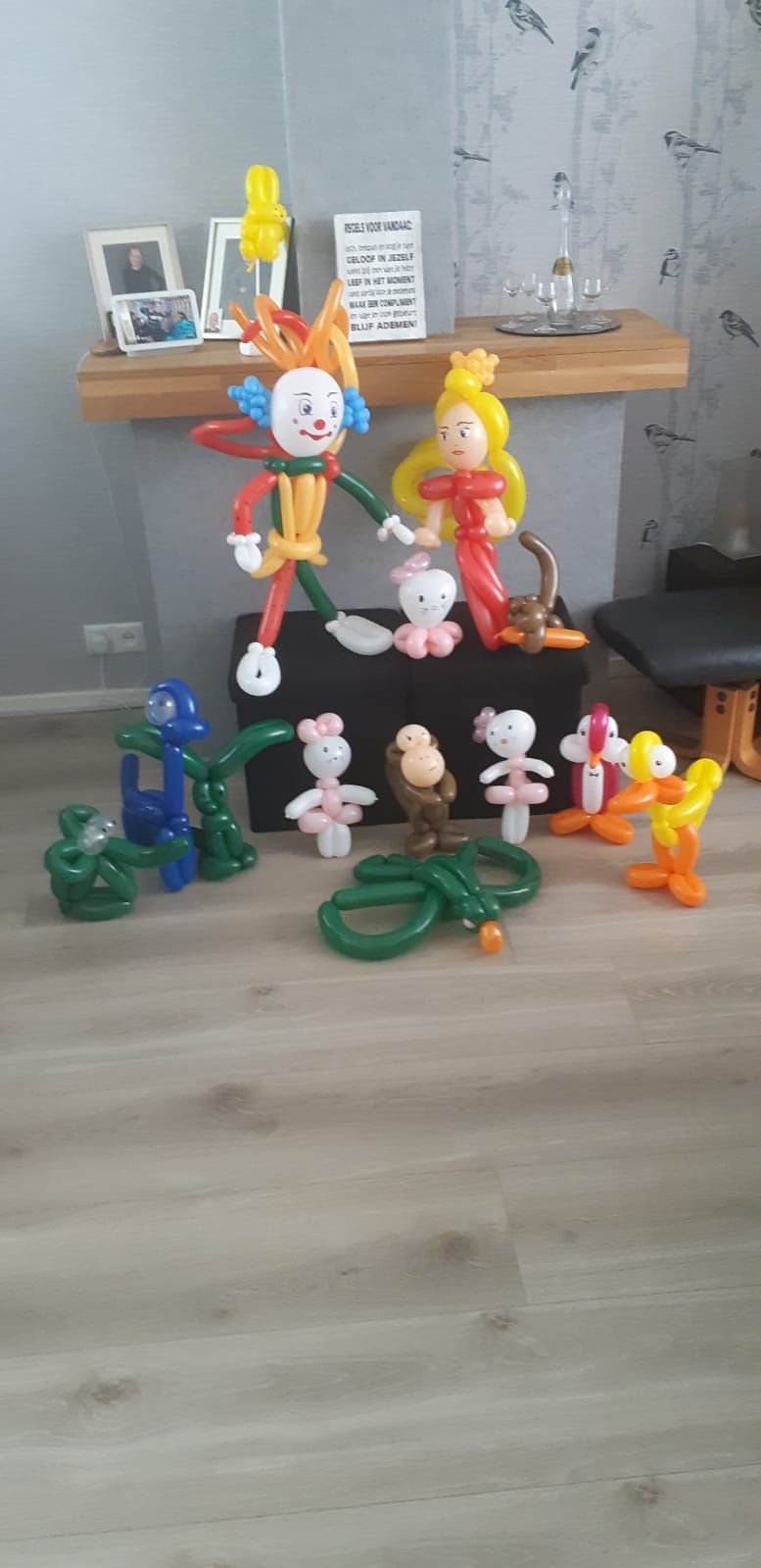 Ballonartiest Emmen, Assen, Borger, Musselkanaal, Stadskanaal, Eext, Exloo, Buinen, Hoogeveen, Leek, Roden