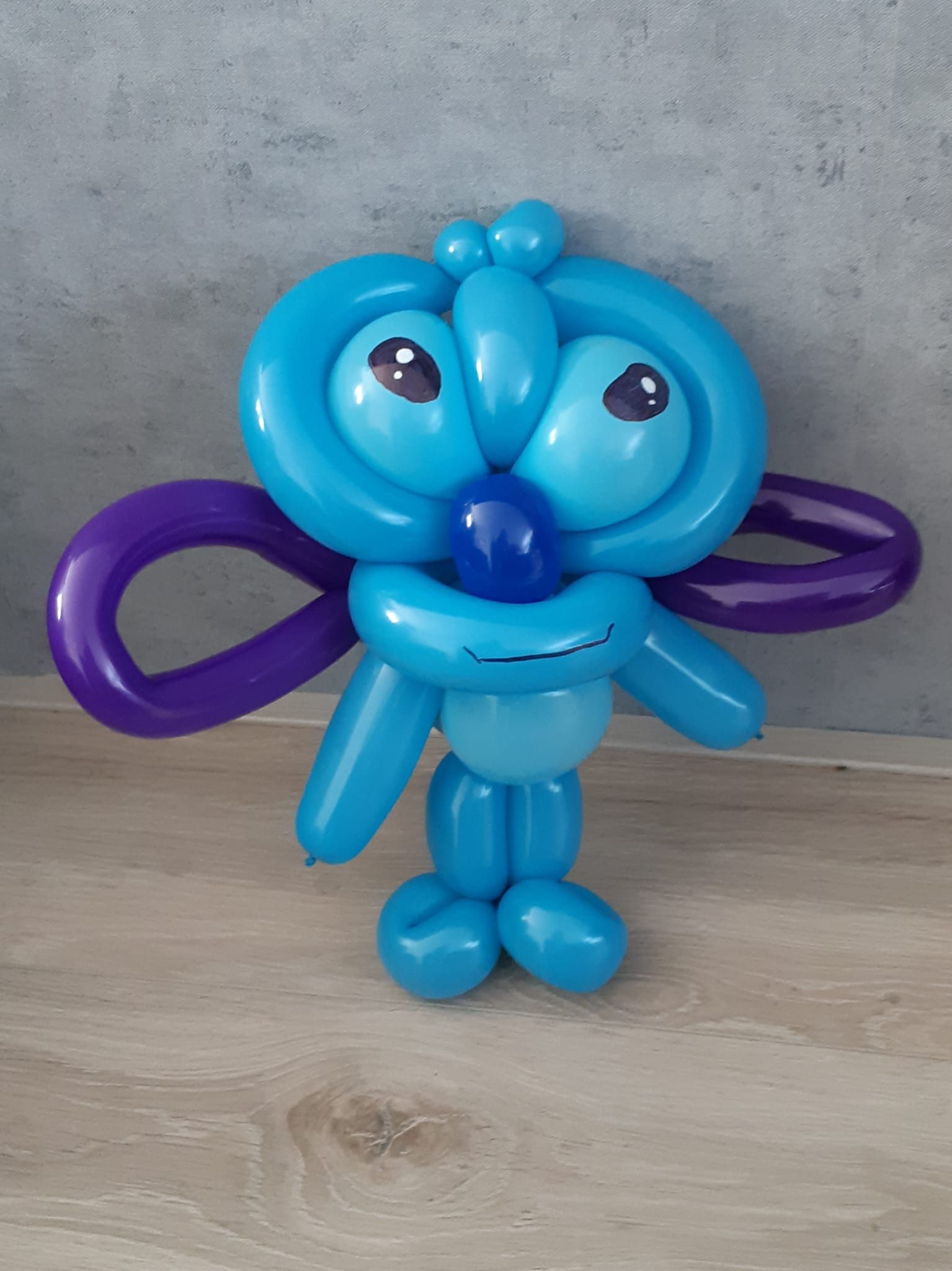 Ballonartiest Emmen, Assen, Borger, Musselkanaal, Stadskanaal, Eext, Exloo, Buinen, Hoogeveen, Leek, Roden