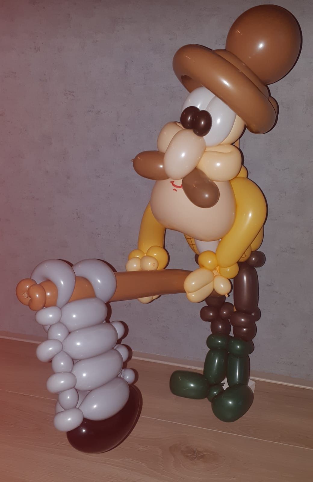 Ballonartiest Emmen, Assen, Borger, Musselkanaal, Stadskanaal, Eext, Exloo, Buinen, Hoogeveen, Leek, Roden