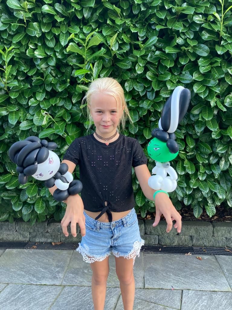 Ballonartiest Emmen, Assen, Borger, Musselkanaal, Stadskanaal, Eext, Exloo, Buinen, Hoogeveen, Leek, Roden