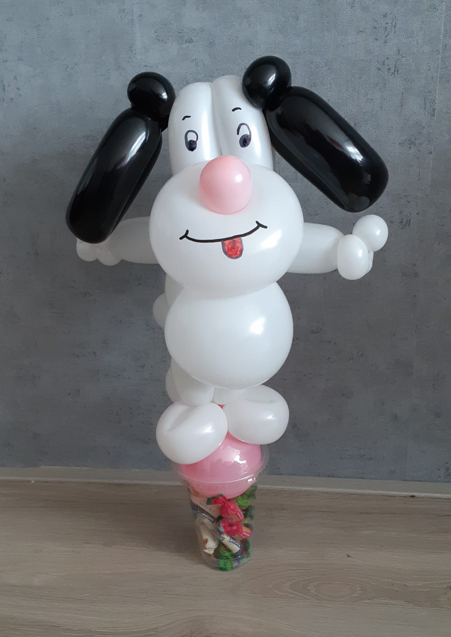 Ballonartiest Emmen, Assen, Borger, Musselkanaal, Stadskanaal, Eext, Exloo, Buinen, Hoogeveen, Leek, Roden