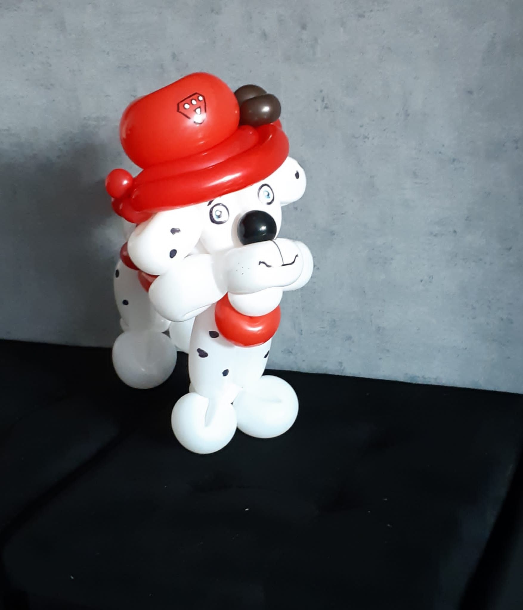 Ballonartiest Emmen, Assen, Borger, Musselkanaal, Stadskanaal, Eext, Exloo, Buinen, Hoogeveen, Leek, Roden