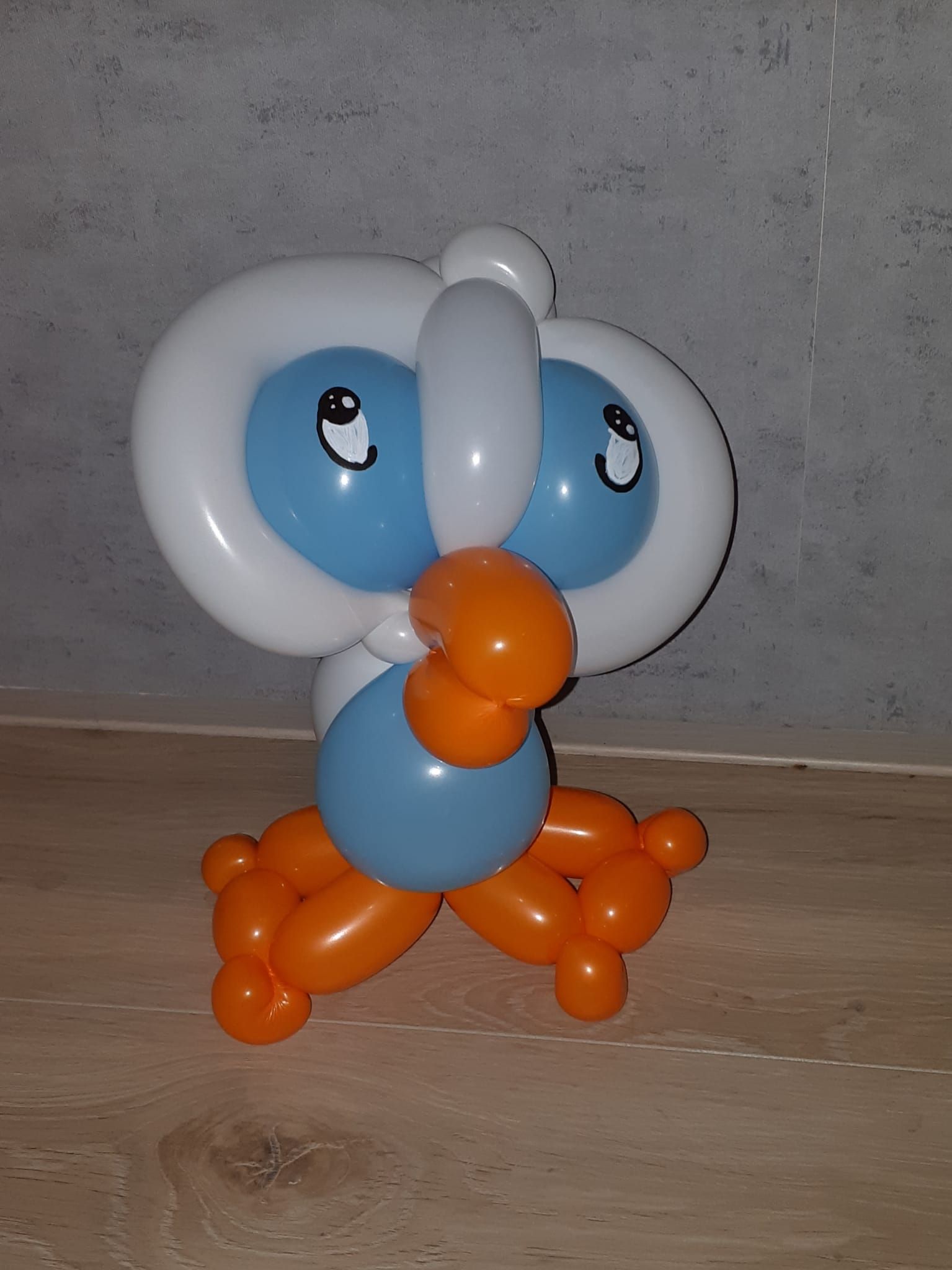 Ballonartiest Emmen, Assen, Borger, Musselkanaal, Stadskanaal, Eext, Exloo, Buinen, Hoogeveen, Leek, Roden