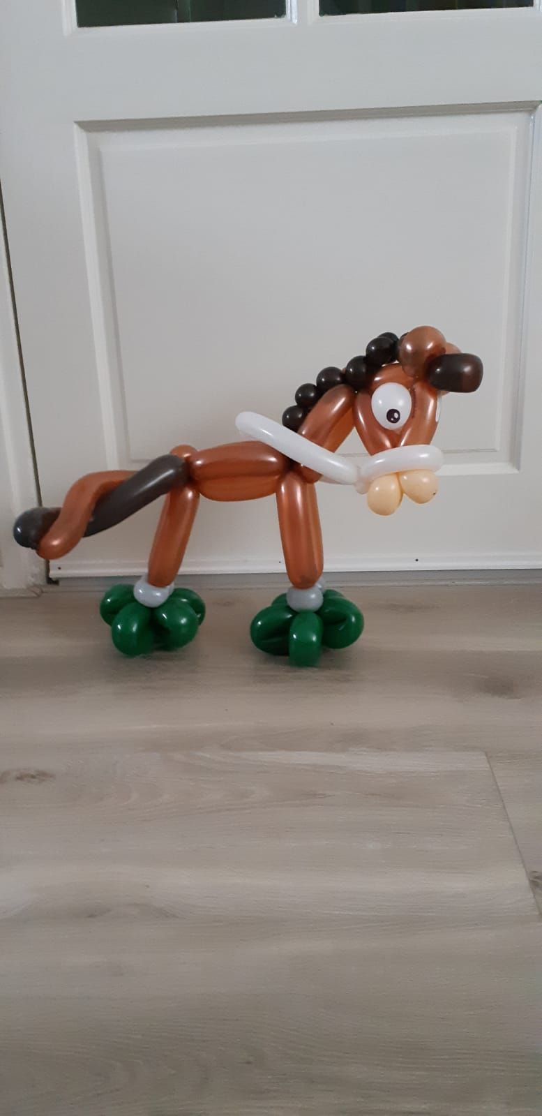 Ballonartiest Emmen, Assen, Borger, Musselkanaal, Stadskanaal, Eext, Exloo, Buinen, Hoogeveen, Leek, Roden