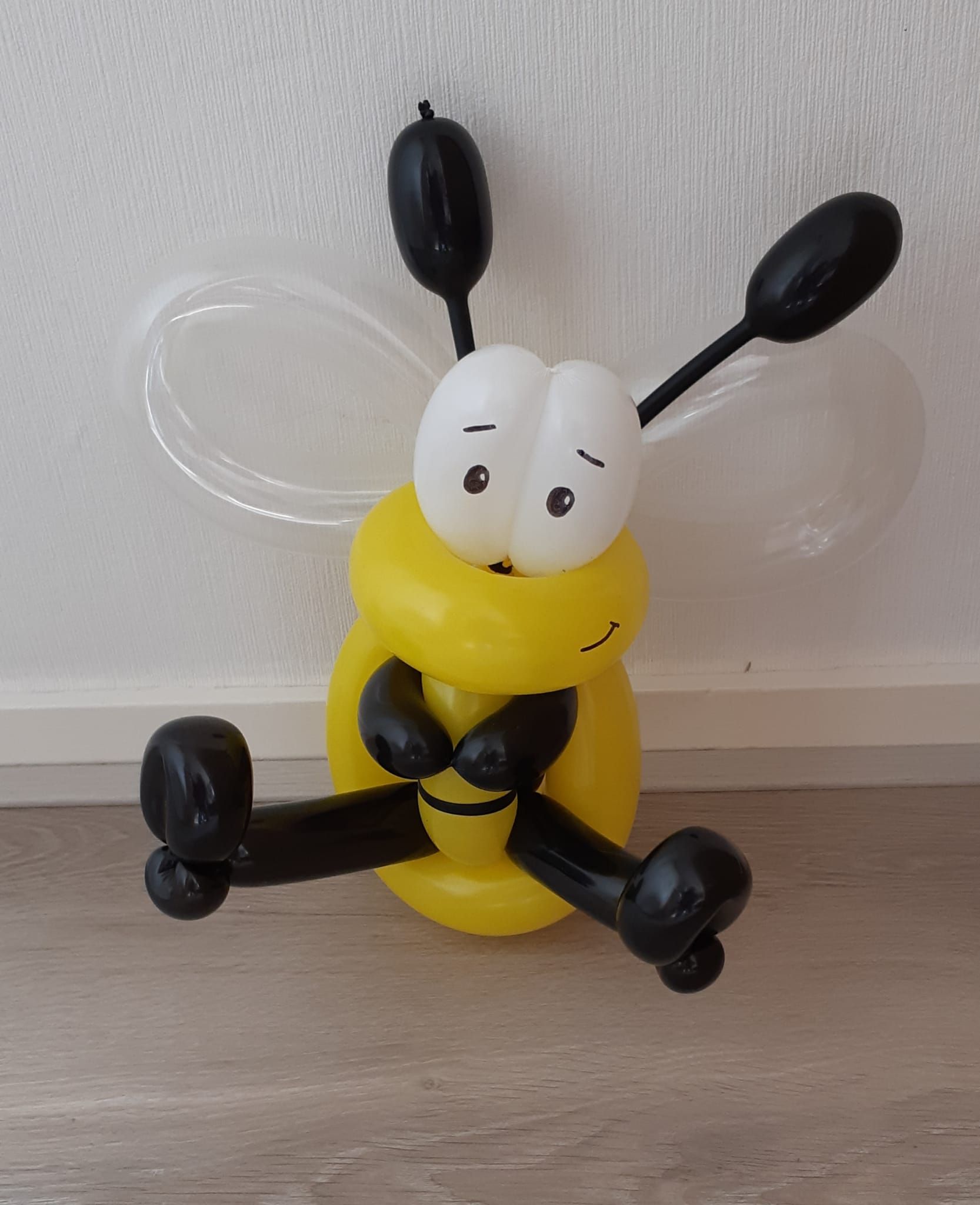 Ballonartiest Emmen, Assen, Borger, Musselkanaal, Stadskanaal, Eext, Exloo, Buinen, Hoogeveen, Leek, Roden