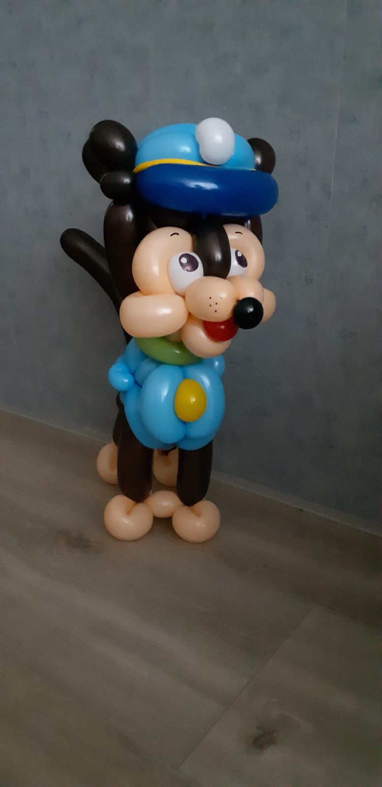 Ballonartiest Familiedag, Assen, Borger, Musselkanaal, Stadskanaal, Eext, Exloo, Buinen, Hoogeveen, Leek, Roden