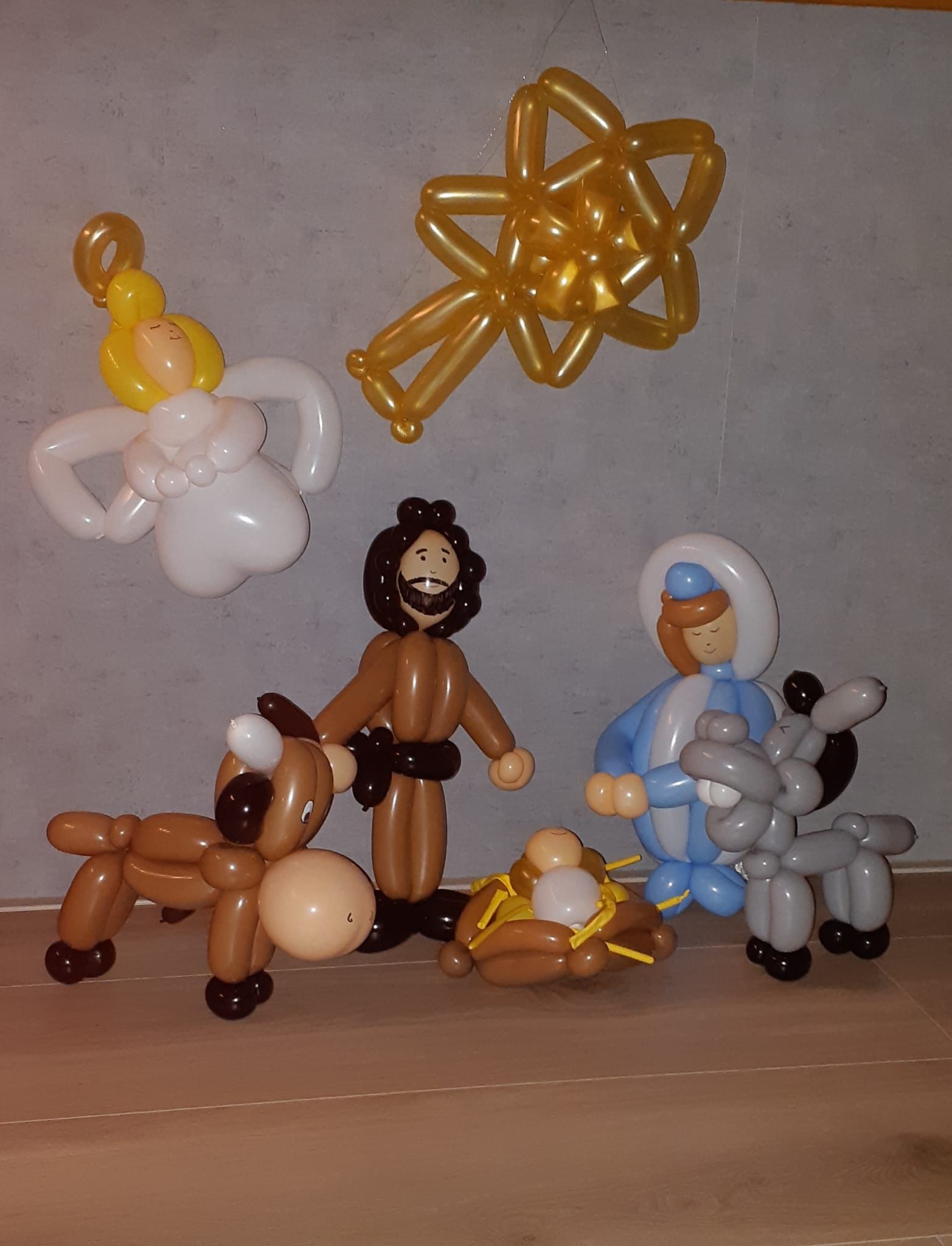 Ballonartiest Emmen, Assen, Borger, Musselkanaal, Stadskanaal, Eext, Exloo, Buinen, Hoogeveen, Leek, Roden