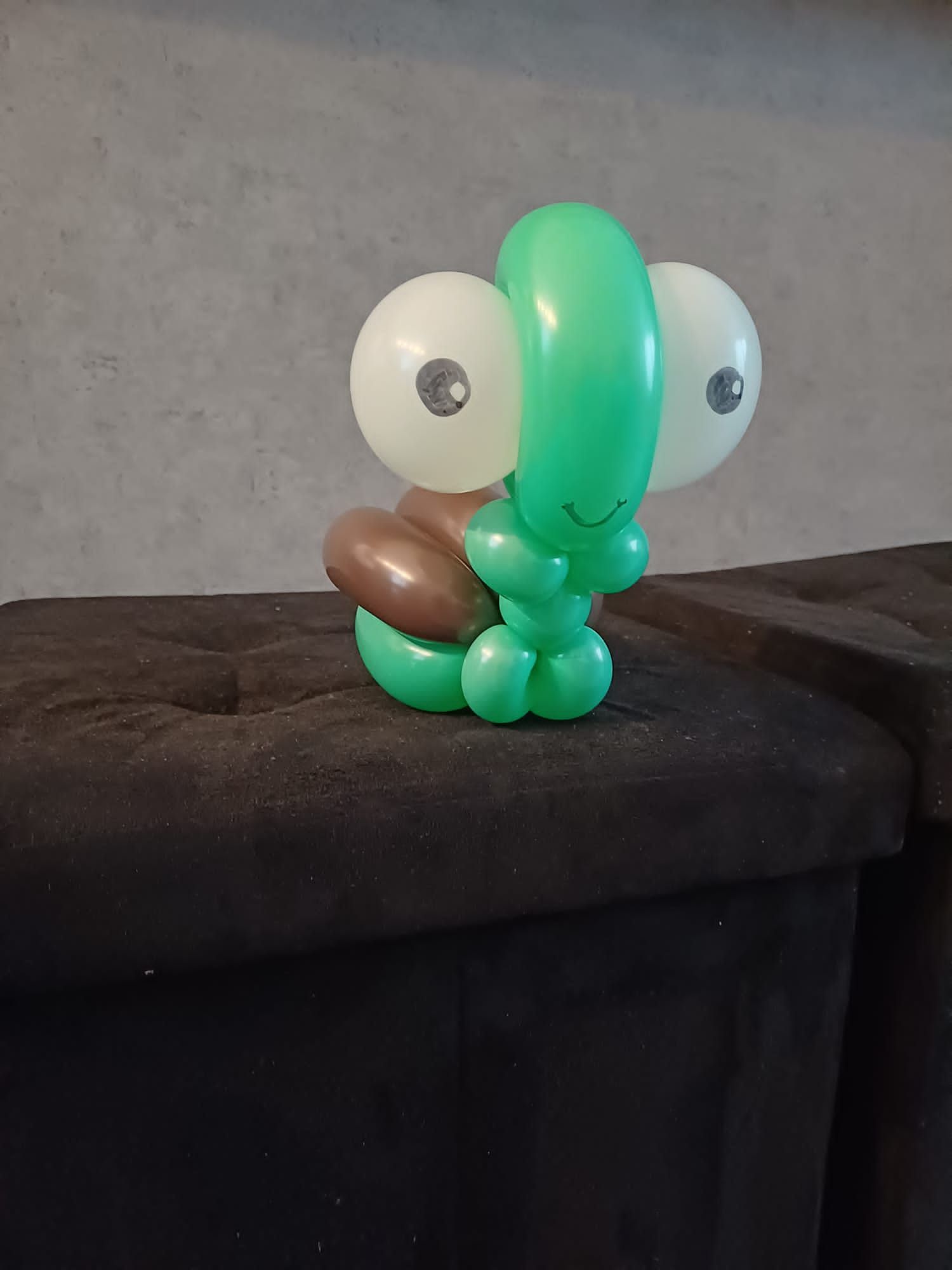 Ballonartiest Emmen, Assen, Borger, Musselkanaal, Stadskanaal, Eext, Exloo, Buinen, Hoogeveen, Leek, Roden