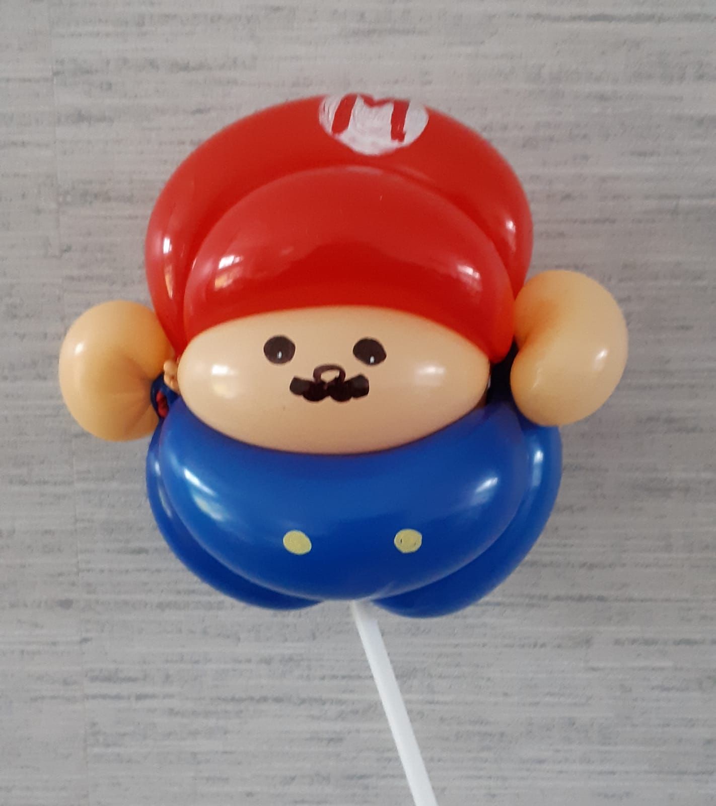 Ballonartiest Emmen, Assen, Borger, Musselkanaal, Stadskanaal, Eext, Exloo, Buinen, Hoogeveen, Leek, Roden