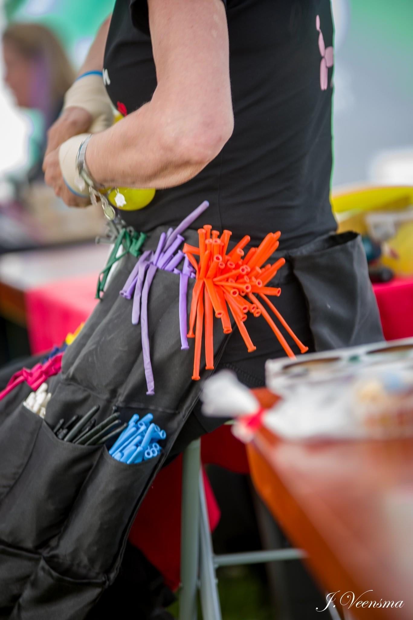 Ballonartiest Emmen, Assen, Borger, Musselkanaal, Stadskanaal, Eext, Exloo, Buinen, Hoogeveen, Leek, Roden