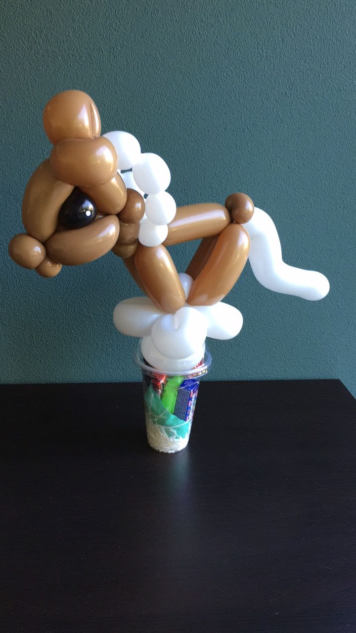 Ballonartiest Emmen, Assen, Borger, Musselkanaal, Stadskanaal, Eext, Exloo, Buinen, Hoogeveen, Leek, Roden