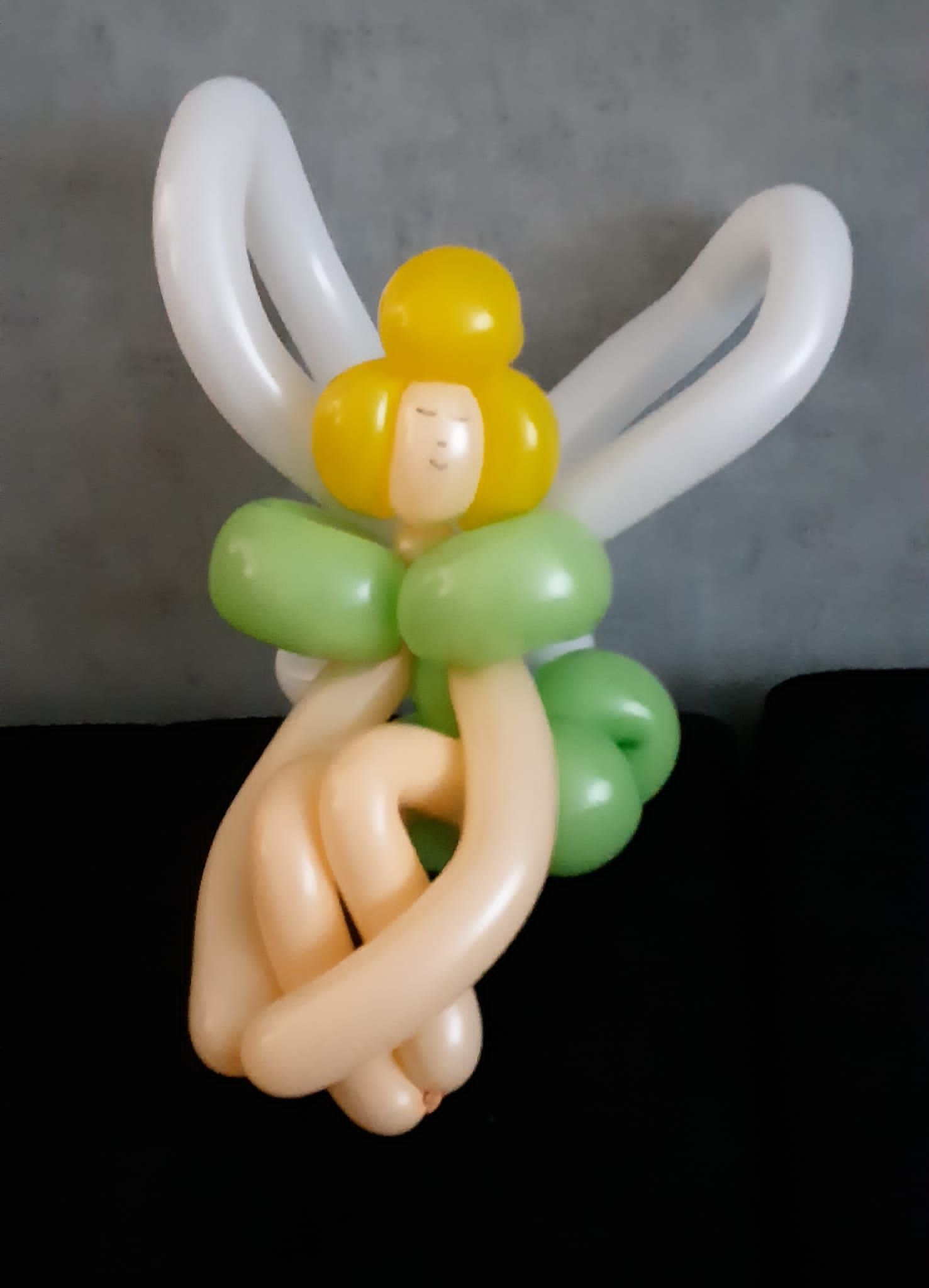 Ballonartiest Emmen, Assen, Borger, Musselkanaal, Stadskanaal, Eext, Exloo, Buinen, Hoogeveen, Leek, Roden