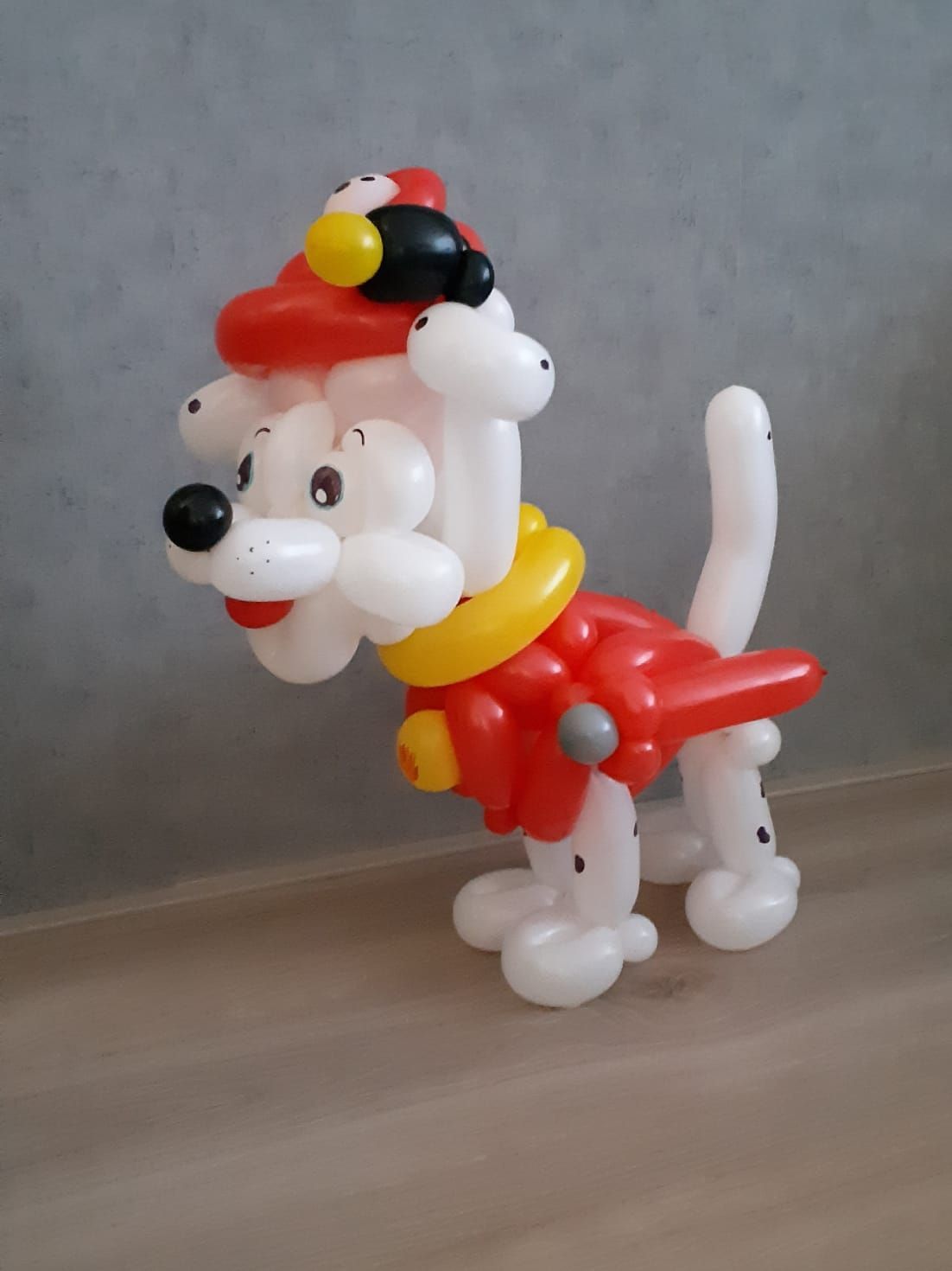 Ballonartiest Emmen, Assen, Borger, Musselkanaal, Stadskanaal, Eext, Exloo, Buinen, Hoogeveen, Leek, Roden