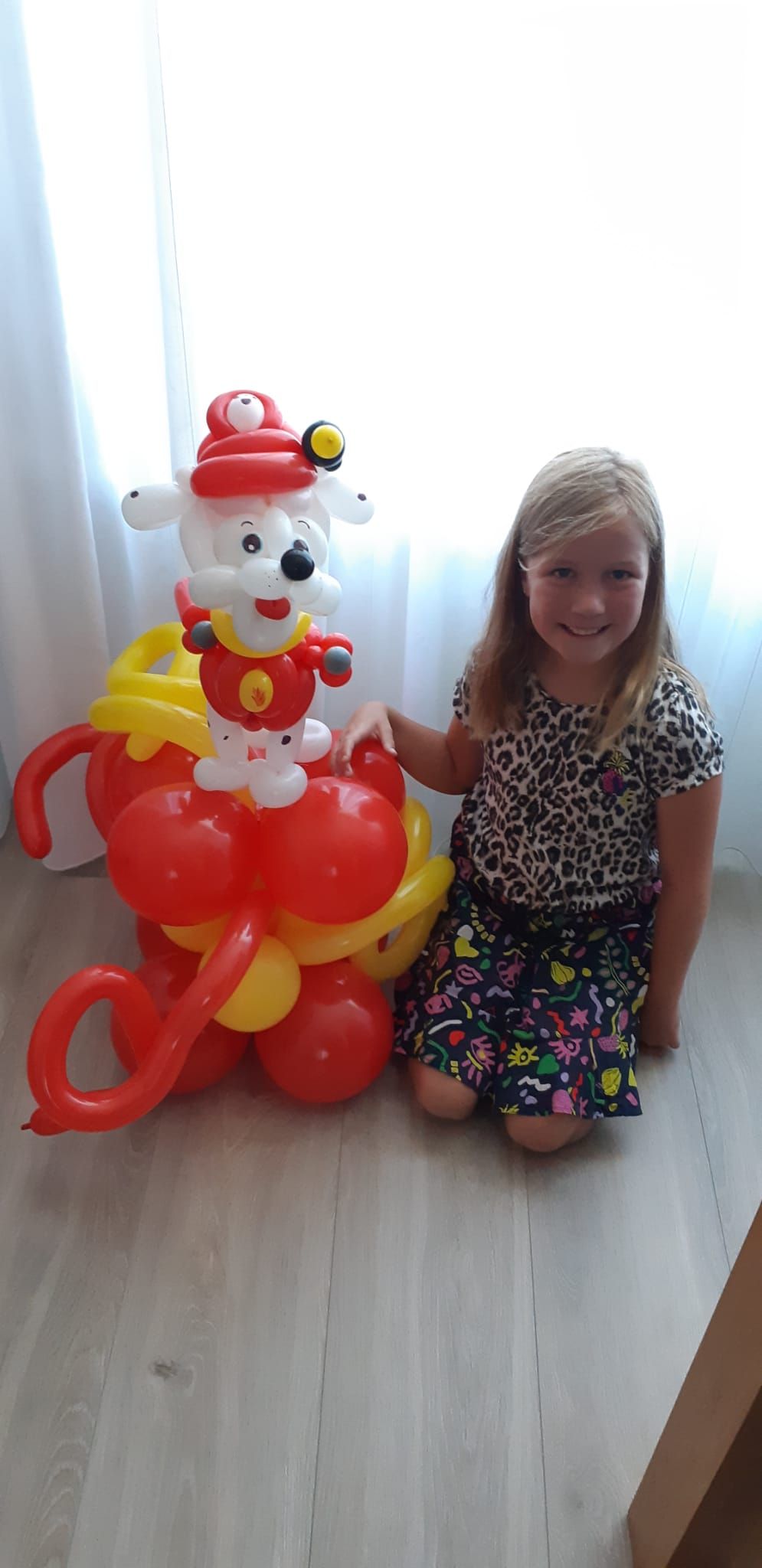 Ballonartiest Emmen, Assen, Borger, Musselkanaal, Stadskanaal, Eext, Exloo, Buinen, Hoogeveen, Leek, Roden