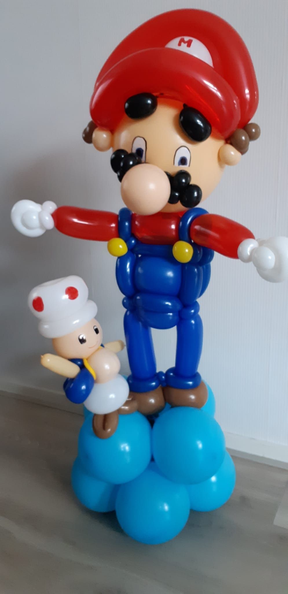 Ballonartiest Emmen, Assen, Borger, Musselkanaal, Stadskanaal, Eext, Exloo, Buinen, Hoogeveen, Leek, Roden