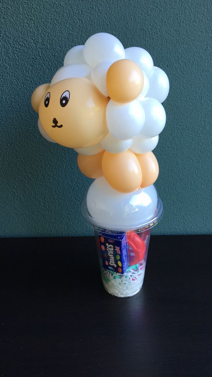 Ballonartiest Emmen, Assen, Borger, Musselkanaal, Stadskanaal, Eext, Exloo, Buinen, Hoogeveen, Leek, Roden