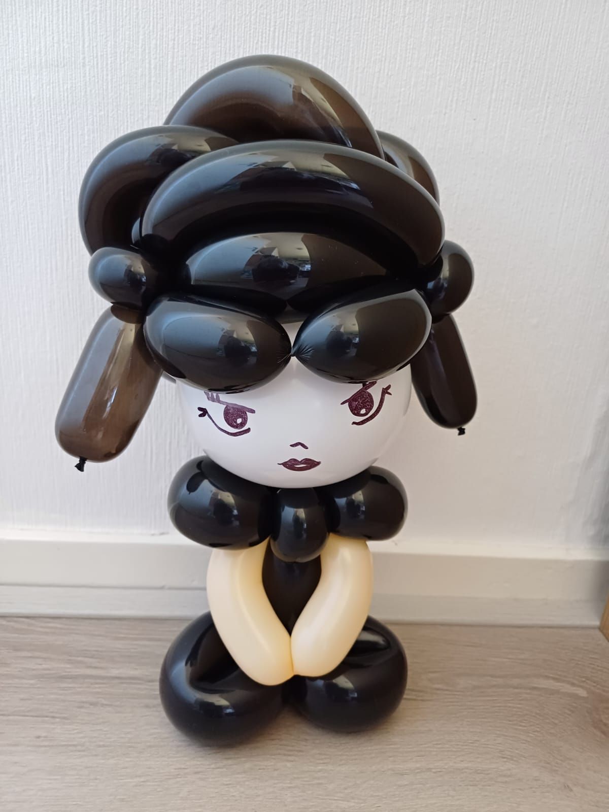 Ballonartiest Emmen, Assen, Borger, Musselkanaal, Stadskanaal, Eext, Exloo, Buinen, Hoogeveen, Leek, Roden