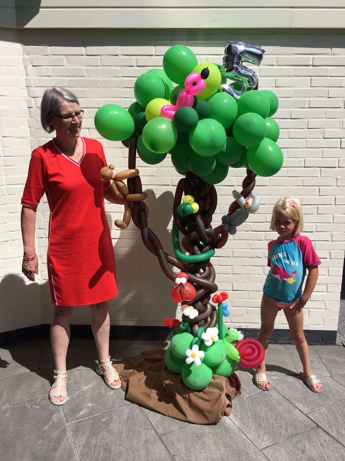 Ballonartiest Emmen, Assen, Borger, Musselkanaal, Stadskanaal, Eext, Exloo, Buinen, Hoogeveen, Leek, Roden