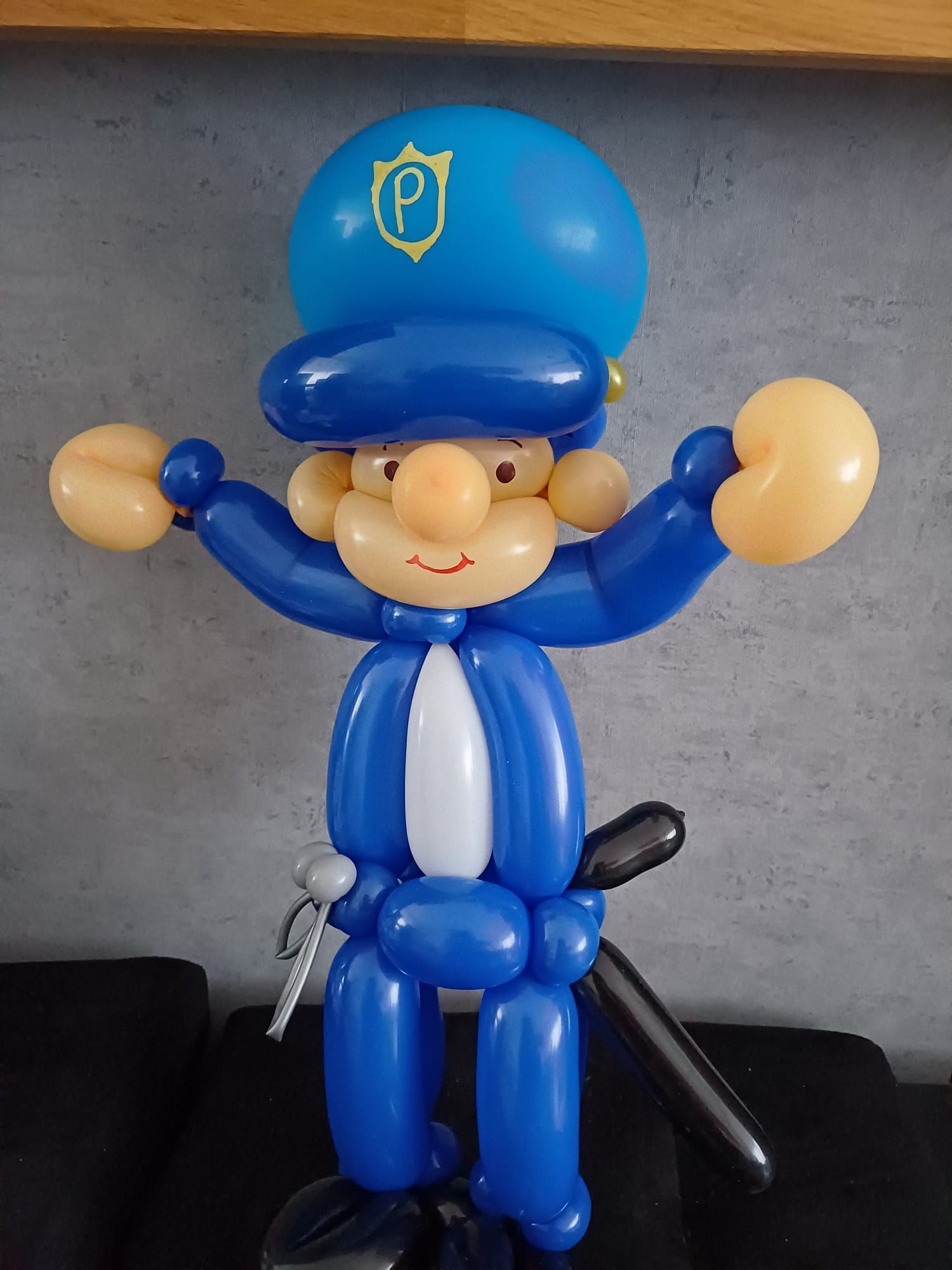 Ballonartiest Emmen, Assen, Borger, Musselkanaal, Stadskanaal, Eext, Exloo, Buinen, Hoogeveen, Leek, Roden