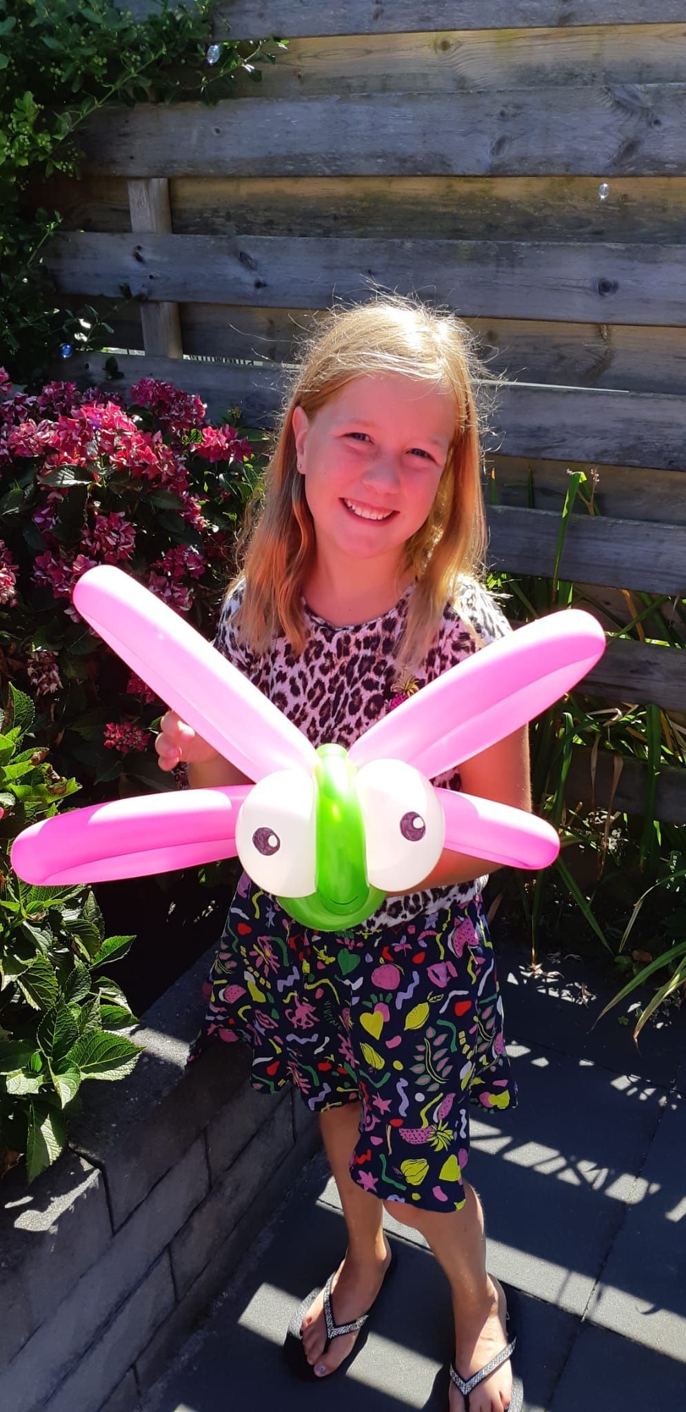 Ballonartiest Emmen, Assen, Borger, Musselkanaal, Stadskanaal, Eext, Exloo, Buinen, Hoogeveen, Leek, Roden