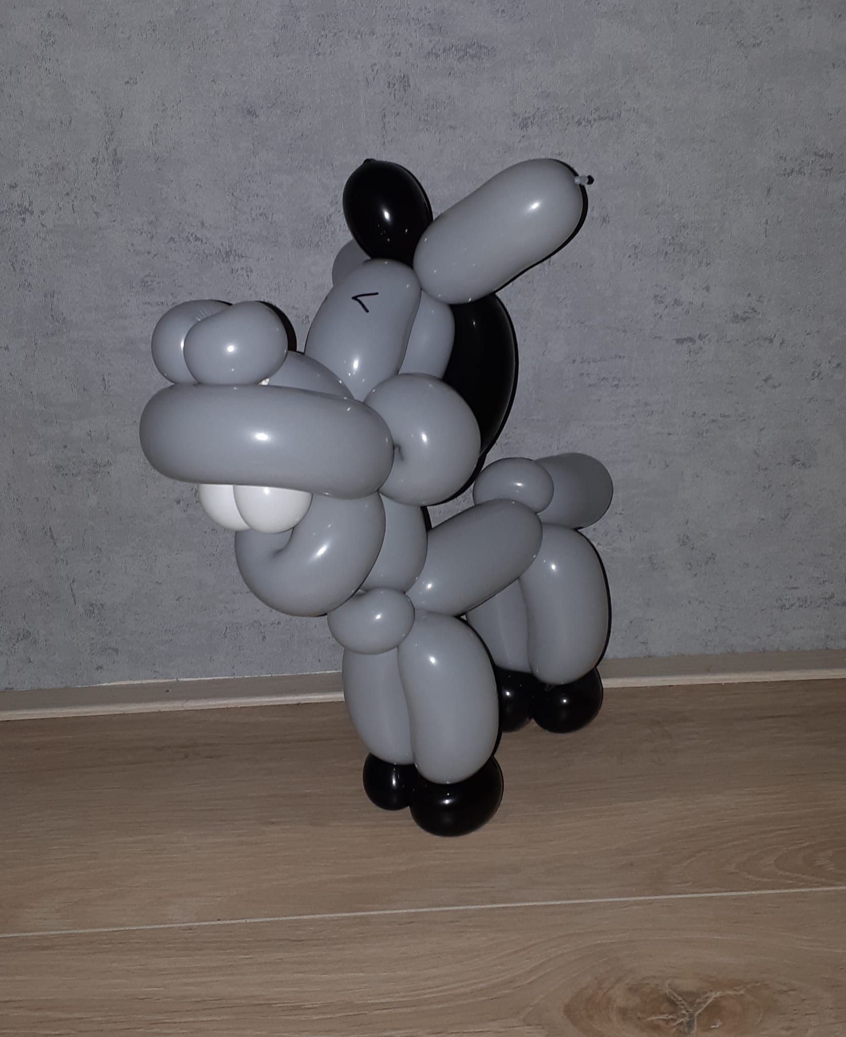 Ballonartiest Emmen, Assen, Borger, Musselkanaal, Stadskanaal, Eext, Exloo, Buinen, Hoogeveen, Leek, Roden